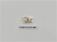 藏品(螟蛾309)的圖片